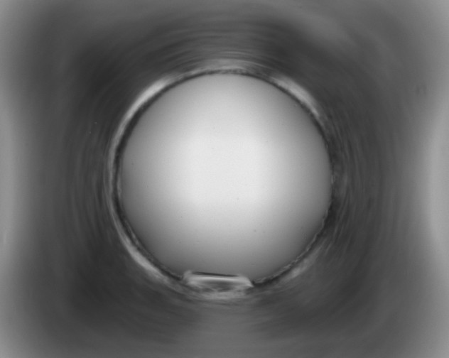 X0000083991135200703091839