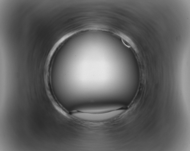 X0000083991136200703091839