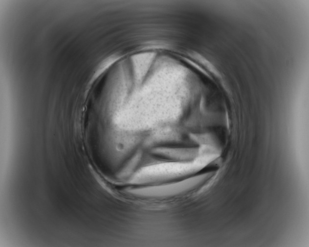 X0000083991137200703091839