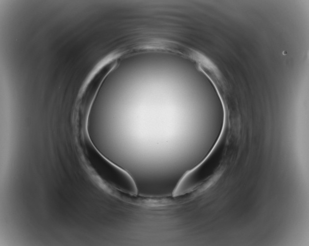 X0000083991138200703091839