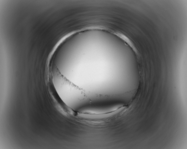 X0000083991140200703091839