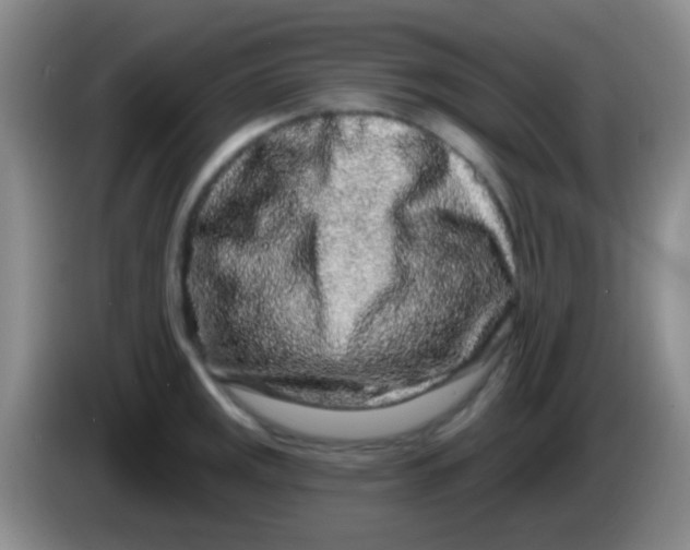 X0000083991141200703091840