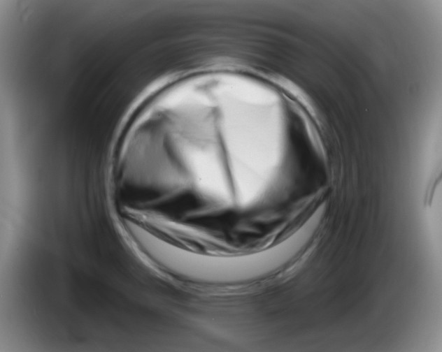 X0000083991142200703091840