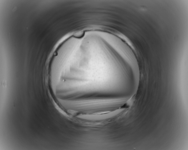 X0000083991143200703091840