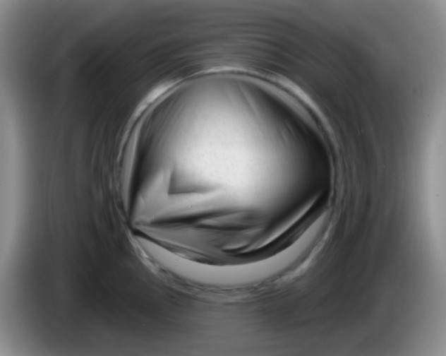 X0000083991145200703091840