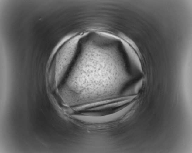 X0000083991146200703091840