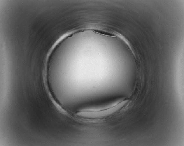 X0000083991147200703091840