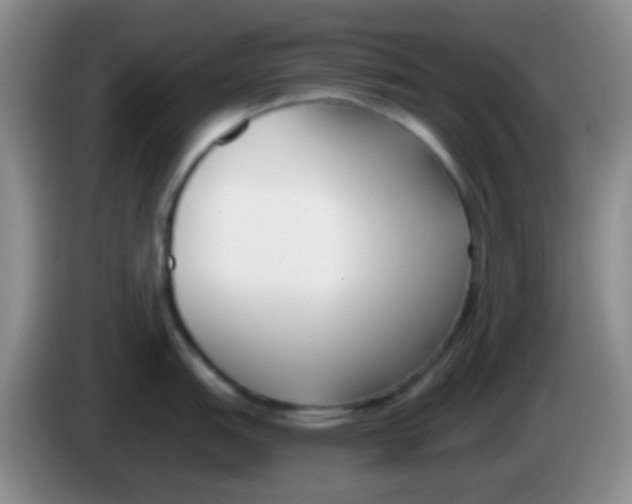 X0000083991151200703091840