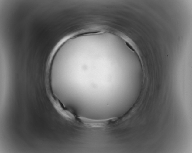 X0000083991152200703091840