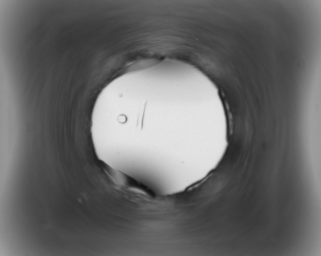 X0000083991153200703091839