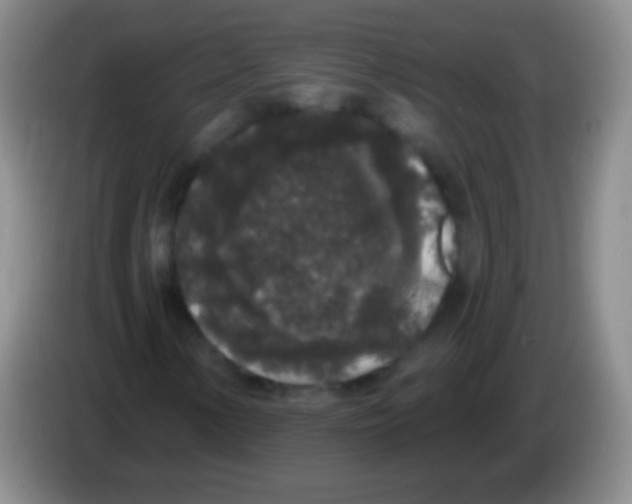 X0000083991154200703091839