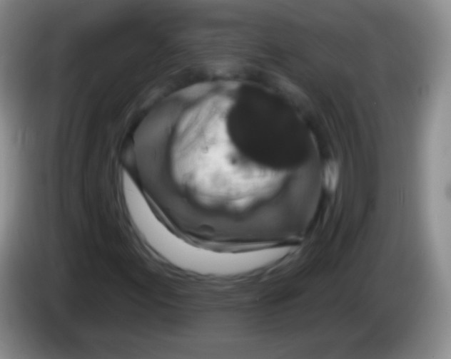 X0000083991155200703091839