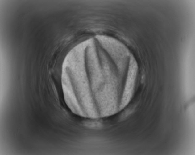 X0000083991156200703091839