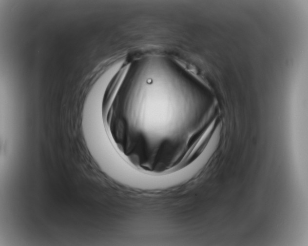 X0000083991157200703091839