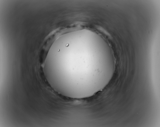 X0000083991160200703091839