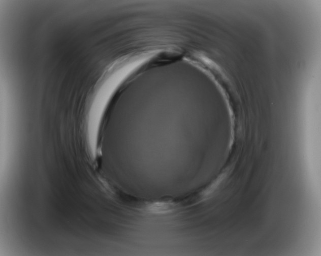 X0000083991161200703091839