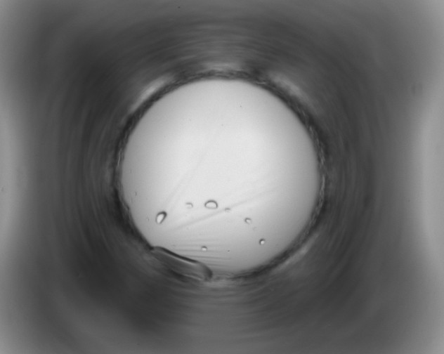 X0000083991162200703091839