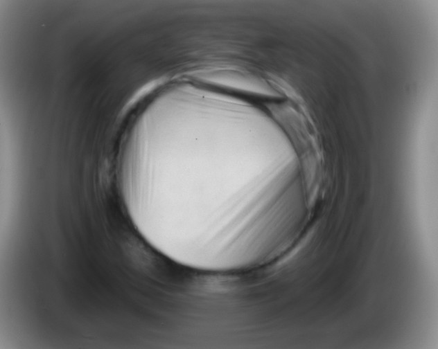 X0000083991163200703091839