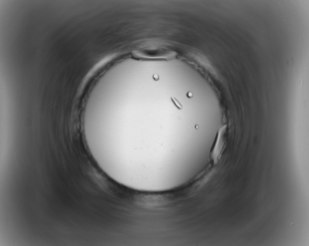 X0000083991164200703091839