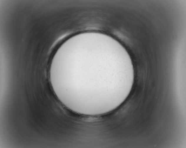 X0000083991166200703091839