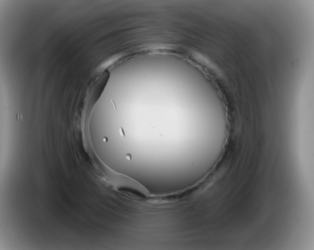 X0000083991169200703091839