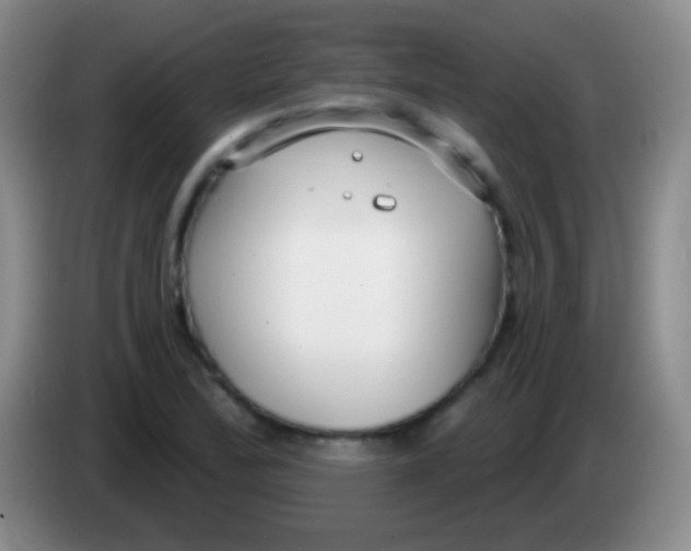 X0000083991172200703091839