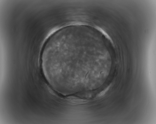 X0000083991173200703091839