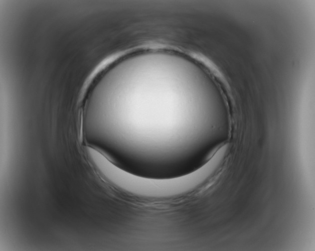 X0000083991175200703091839