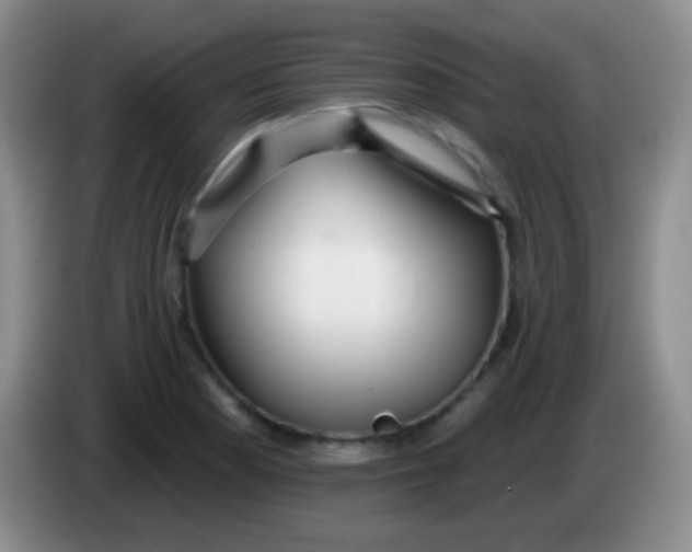 X0000083991177200703091839