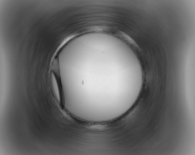 X0000083991178200703091839