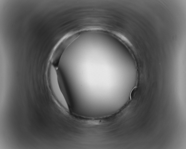 X0000083991181200703091839