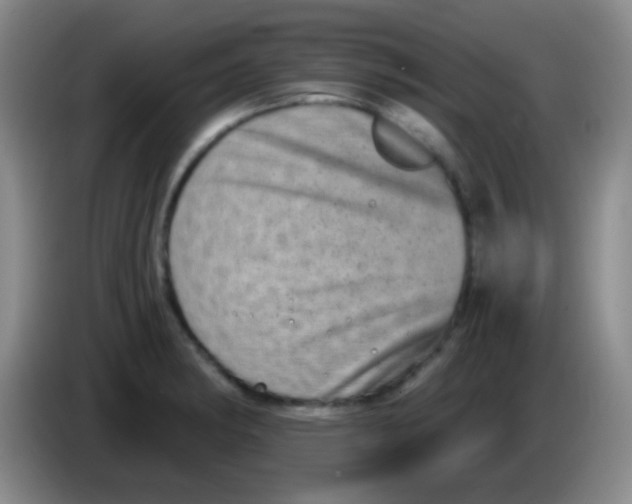 X0000083991182200703091839