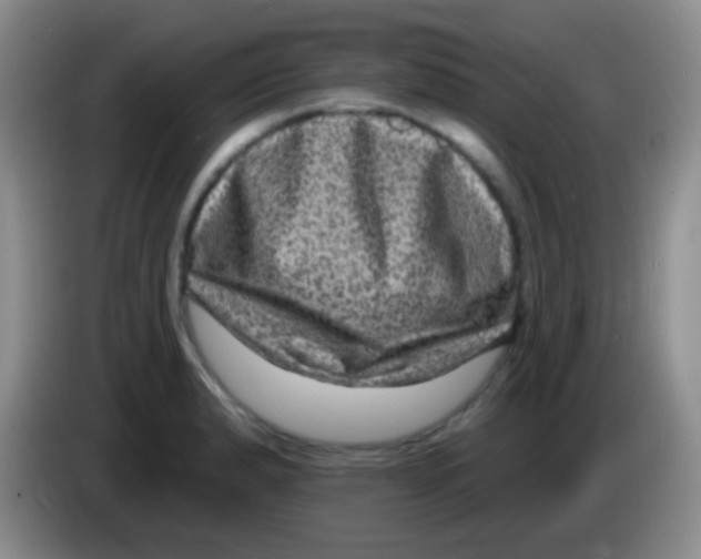 X0000083991183200703091839