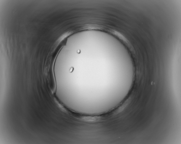 X0000083991185200703091839