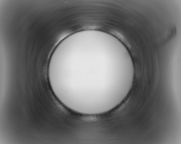 X0000083991186200703091839