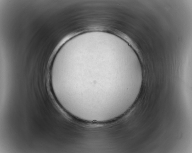 X0000083991187200703091839