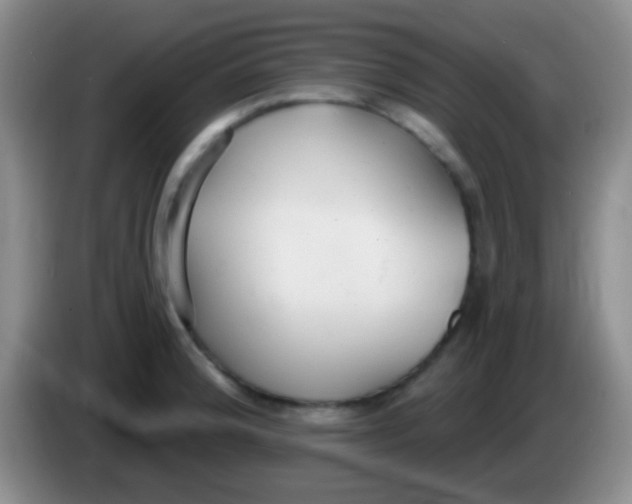 X0000083991188200703091839