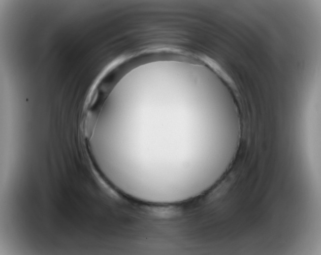 X0000083991189200703091839