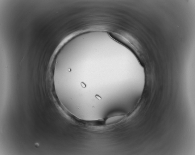 X0000083991192200703091838