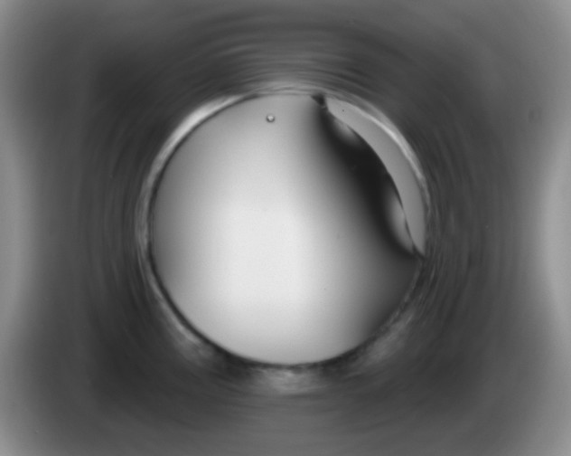 X0000083991195200703091838