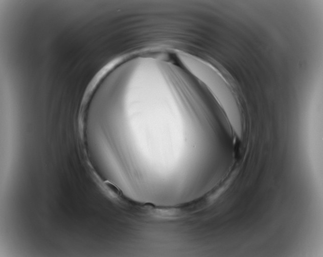 X0000083991196200703091838