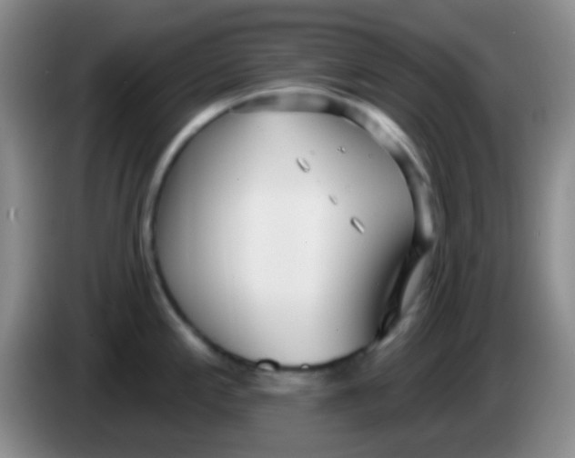 X0000083991197200703091838