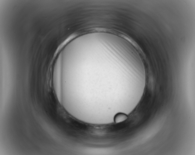 X0000083991198200703091838