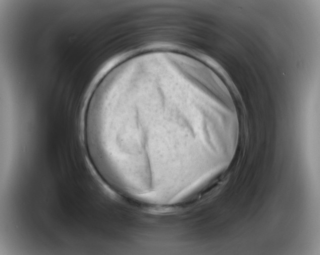 X0000083991199200703091838