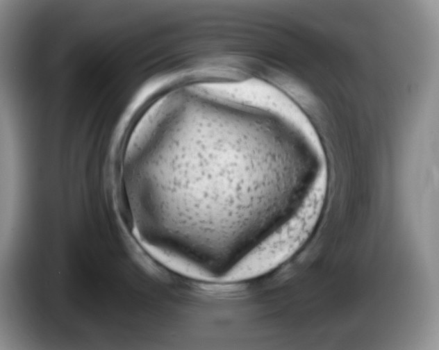 X0000083991200200703091838