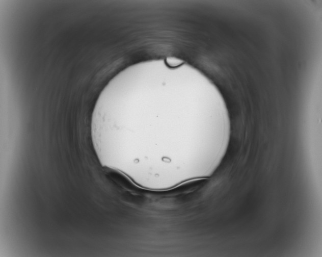 X0000083991201200703091838