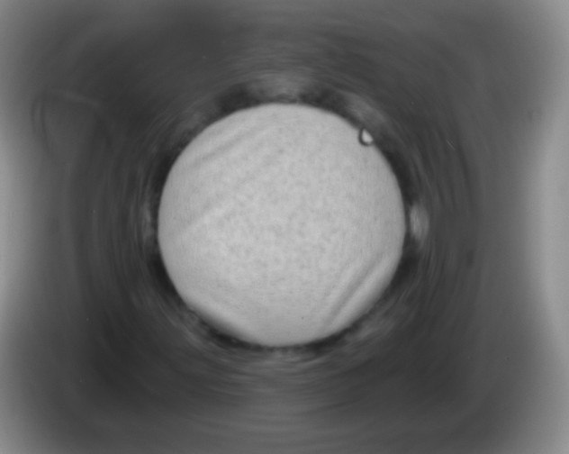 X0000083991203200703091838