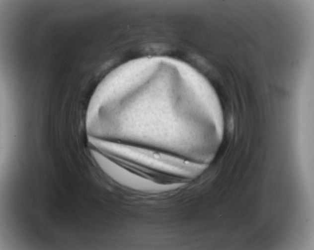 X0000083991204200703091838