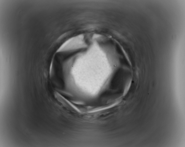 X0000083991206200703091838