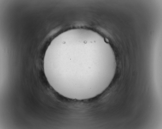 X0000083991207200703091838